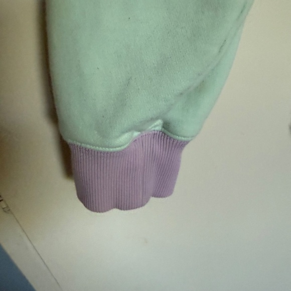 Teddy Fresh x Care Bears Colorblock Hoodie Sweatshirt Size Large - Picture 4 of 8